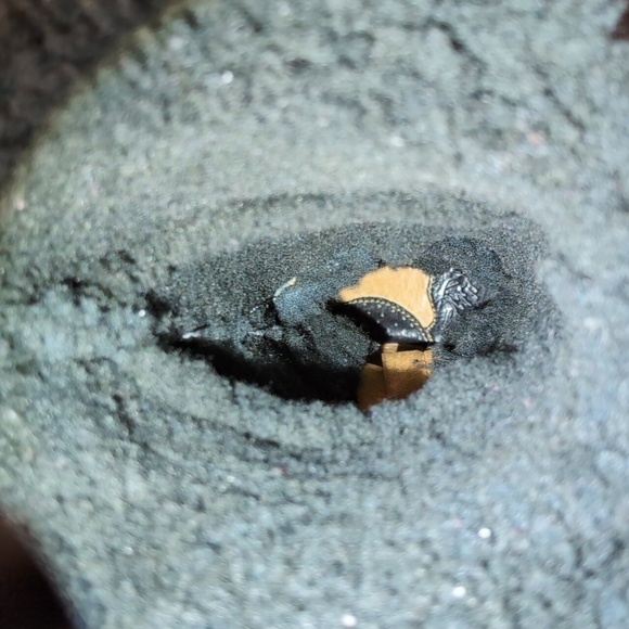 Born Women's Black Size 8.5/40 Medium Width Leather Winter Boots - Picture 14 of 14